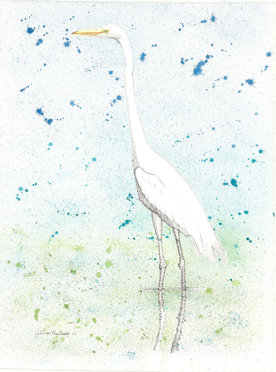 Great Egret I