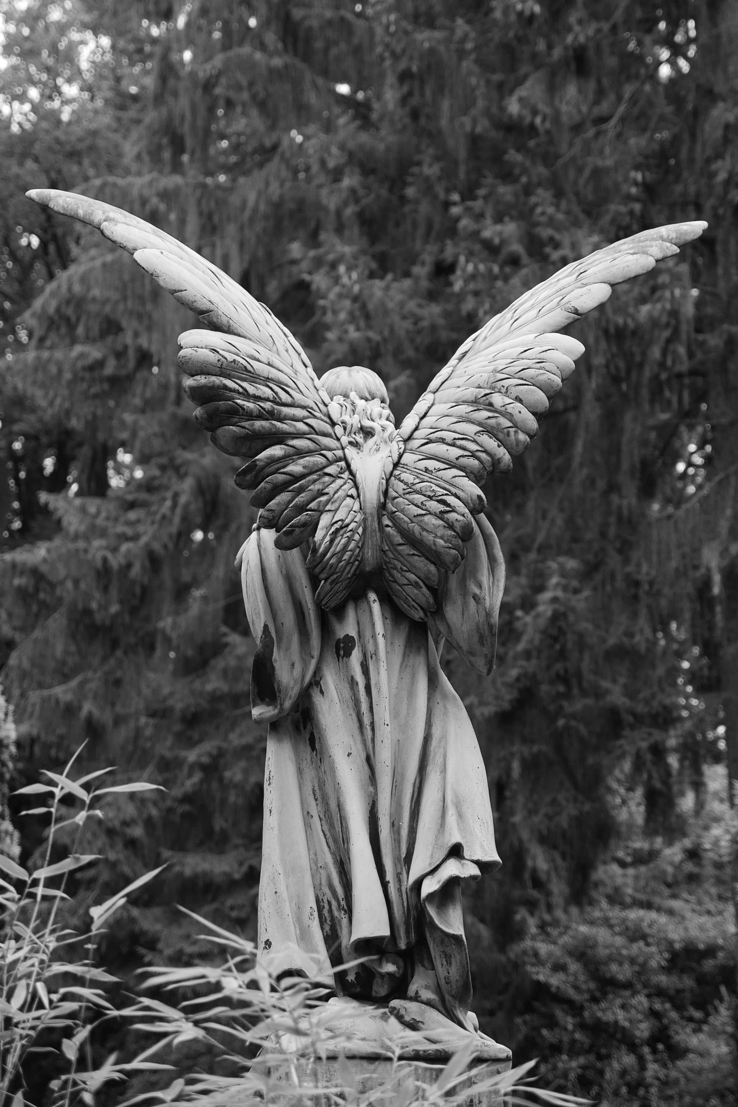 Angel Walking (Hamburg)