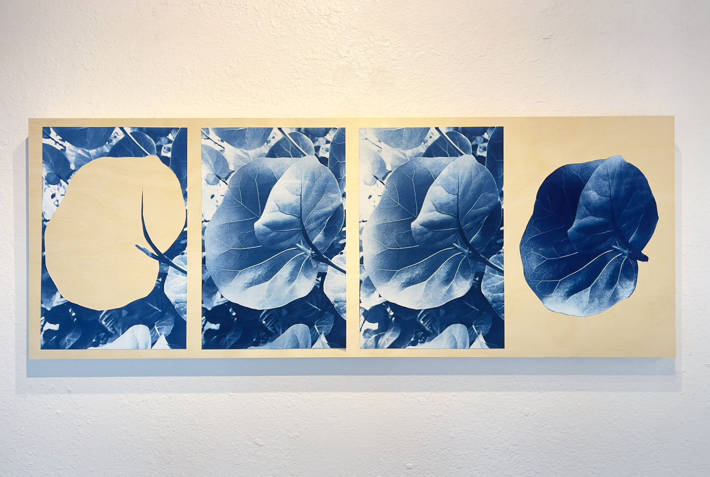 Initiation, Development, Maturity, and Senescence