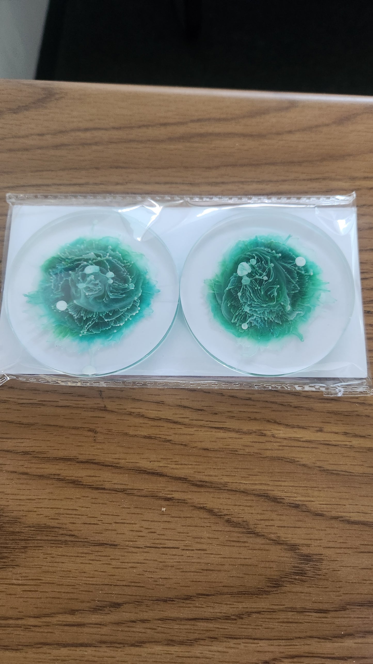 2 Pack Resin Coasters