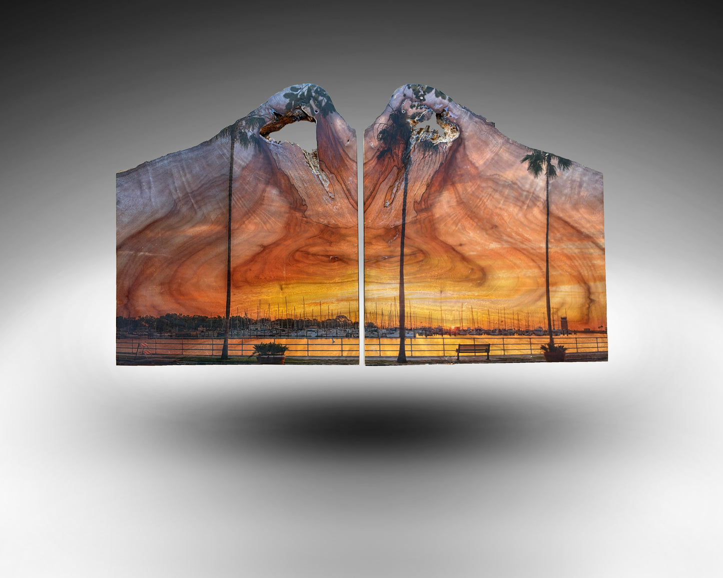 Bayshore Drive Sunrise on Camphor Wood