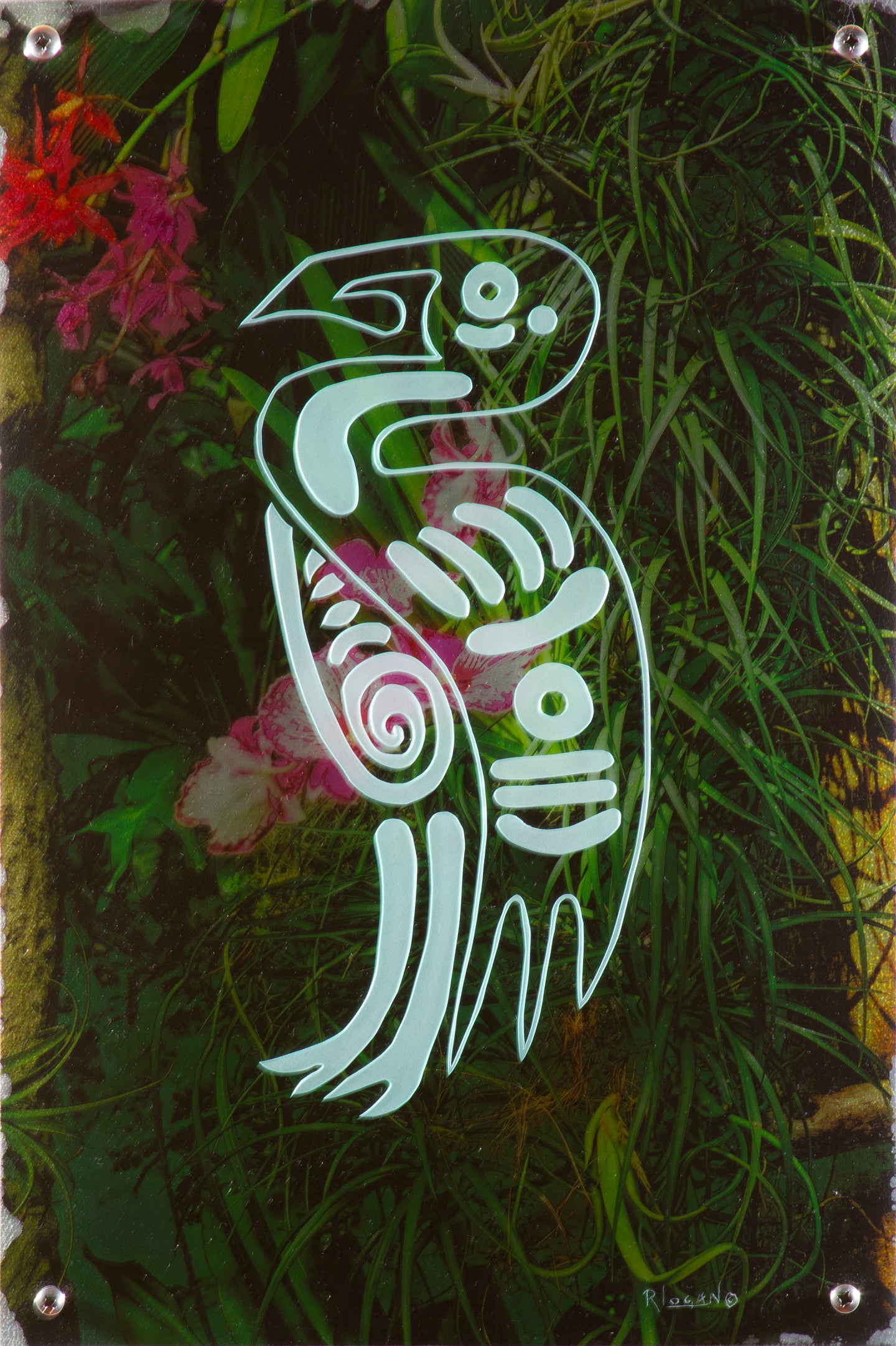Bird - Richard Logan