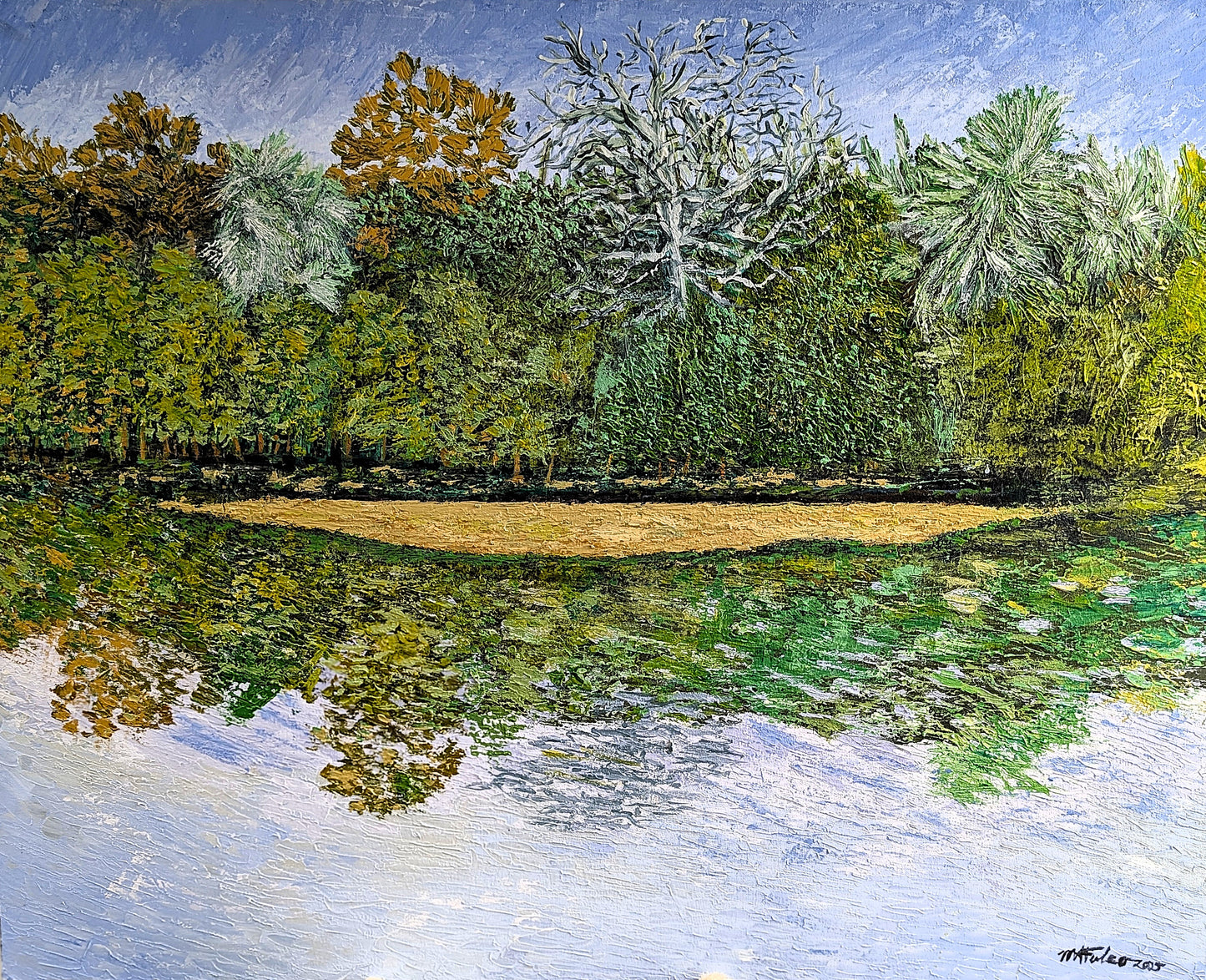 The Dead Tree at the Clam Bayou, St. Petersburg, FL