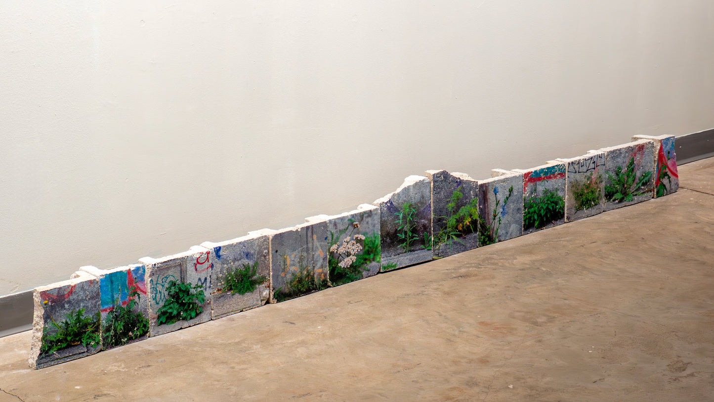 Papi's Garten - Dad's Garden