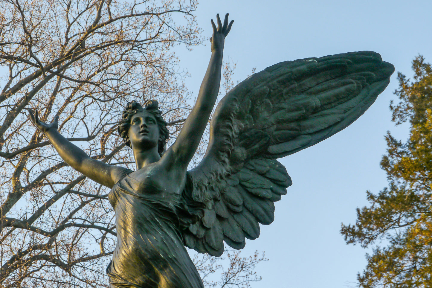 Angel Rise Up (Brooklyn)