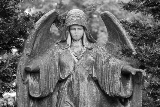 Angel Arms (Brooklyn)