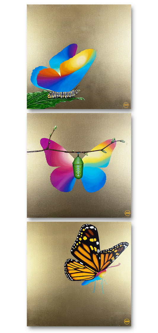 True Colors - Aspiration / Incubation / Transformation