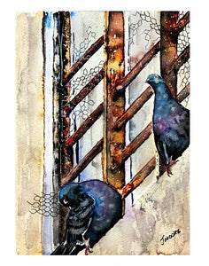 Pigeons in the City, Jeff Moore