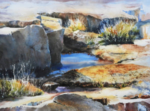 Tidal Pool, Laura Robinson