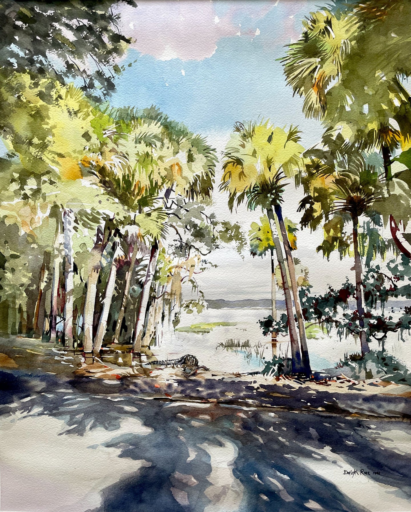 Myakka Park Morning Gaze, Dwight Rose