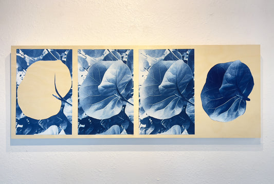 Initiation, Development, Maturity, and Senescence