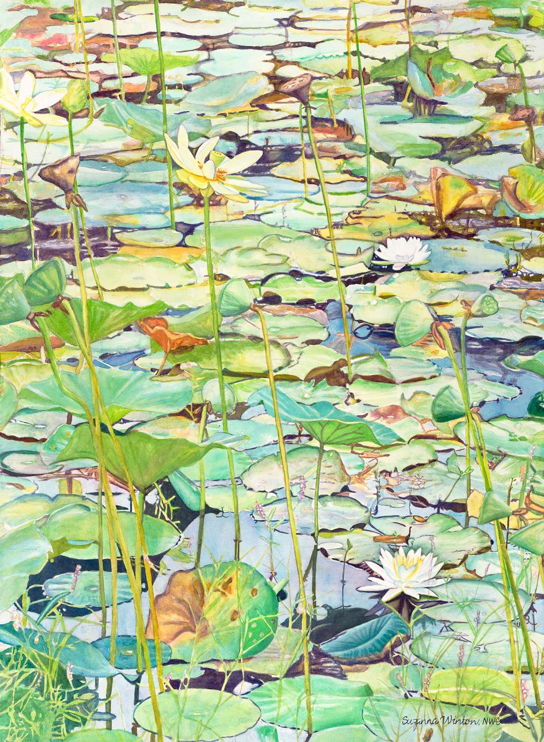 Lily Pads 3, Suzanna Winton