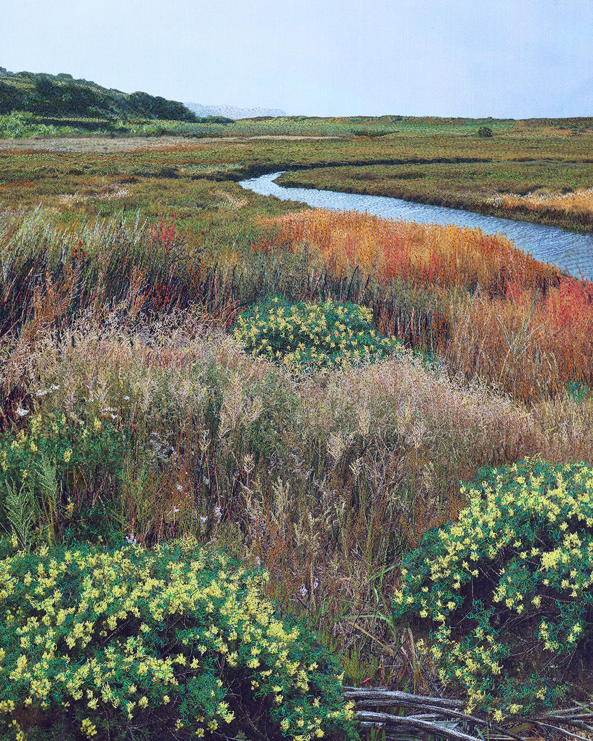 Bodega Bay Marshlands