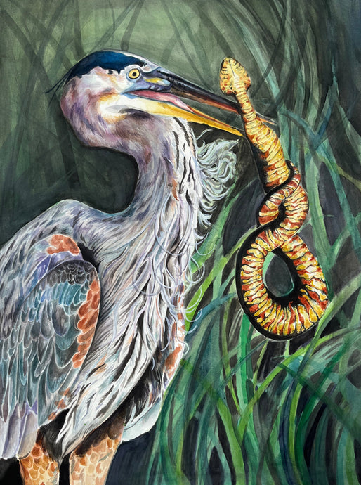 Blue Heron, Tida Bagby